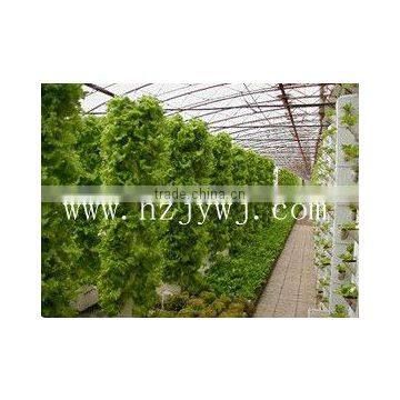 Solar Greenhouse photo-2