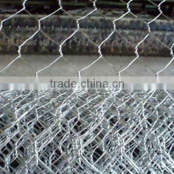 hot sale! electro galvanized hexagonal wire mesh supplier