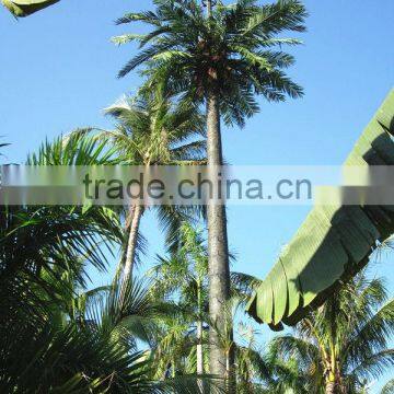 Artificial 20m Communication Station Tree Microwave Communication Tower Shape As True Tree photo-3