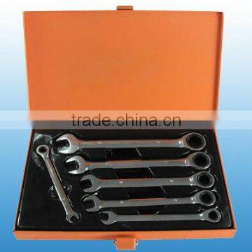 6pcs Combination Gear Wrench set WS067