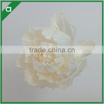 Fashion Artificail Shola Flower for Fragrance Diffuser