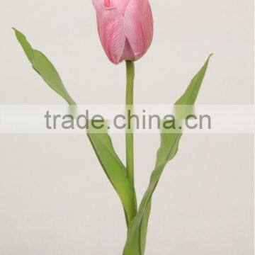 Wedding Supplies Peach Tulip 27702S