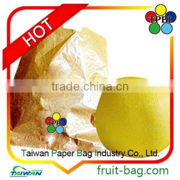 Taiwan Fruit Growing Paper Bag for Agriculture Grapefruit Waterproof Grapefruit Bag