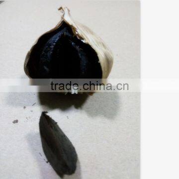 2016 Hot Selling Solo Black Garlic photo-4
