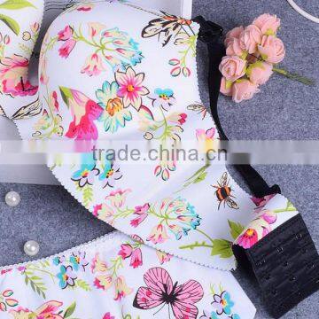 Floral Print Sexy Fancy Bra Panty Set Ladies Underwear Sexy Bra and Panty New Design Women Set Bra Underwear photo-3