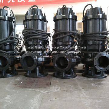 Submersible Sewage Pump photo-4