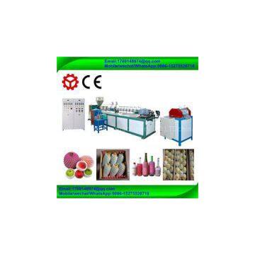 Epe Polythene Foaming Fruit Vegetable Glass Bottle Packing Protect Net Mesh Making Machine