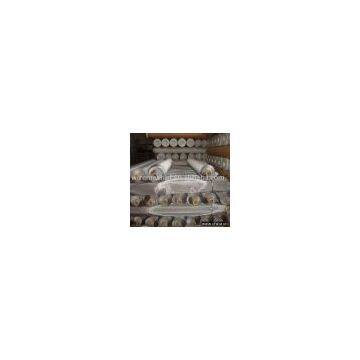 Stainless Steel Wire Mesh (Manufacturer & Exporter)