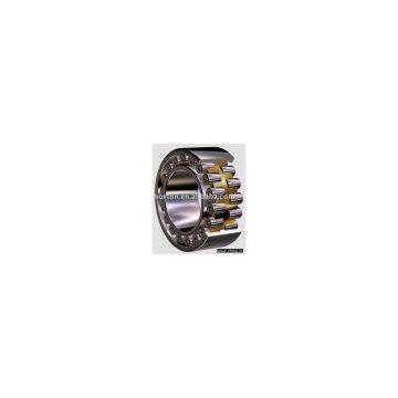 Double row Cylindrical Roller Bearings