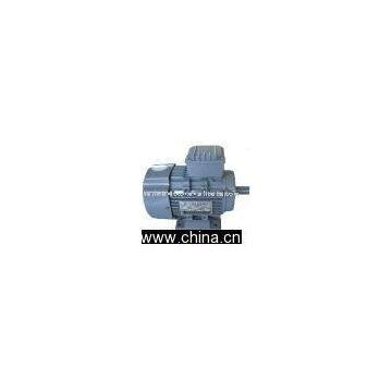 electric Motor (MS series electric motor)