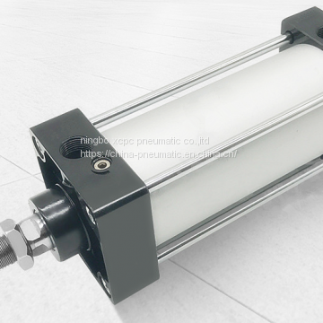 standard pneumatic cylinder