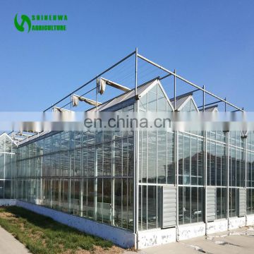 Commercial Hydroponics Tomato Greenhouse