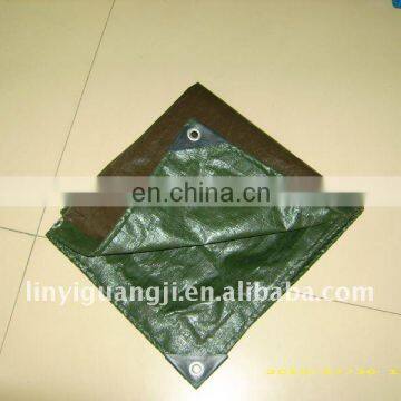 PP/PE Tarpaulin/Awning Cover