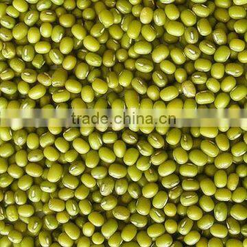 NOP organic mung bean