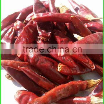 China's biggest wholesaler/cheap hot chili