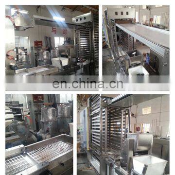 Automatic Oat Meal Chocolate Candy Production Line/Oats Chocolate Moulding Machine photo-4