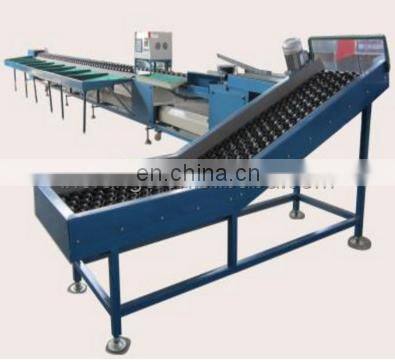 High quality Electronic Fruit Sorting Machine for different capacity