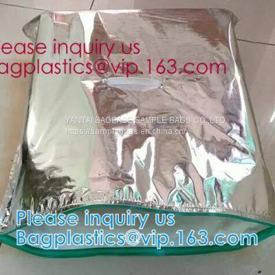 Aluminum Foil Food Use Disposable Cooler Bag Insulated Thermal Bag Organizer Storage Frozen Lunch Bag Bagease Bagplastic