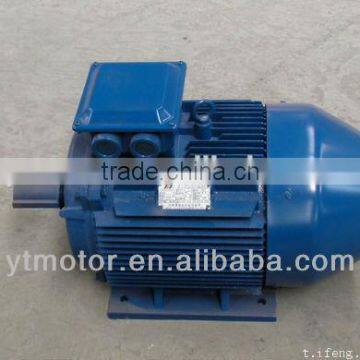 IE2/IE3 High Efficiency High Speed Asynchronous Motor
