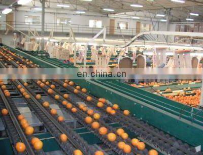 High Benefit Professional Apple Juicer Machine/Industrial Apple Juicer Garlic Juice and Ginger Juice Machine photo-5