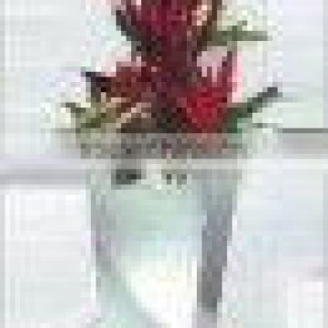 stainless steel garden flowerpot for deco