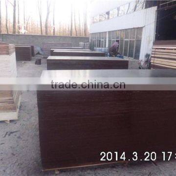 Russia Market Film Faced Plywood,Romania Market Film Faced Plywood photo-3