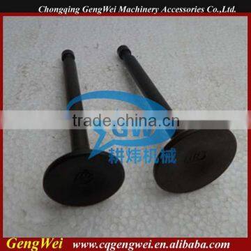 gasoline engine parts 173F engine valve