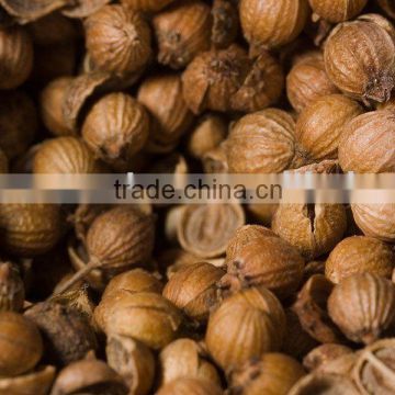 coriander seeds (Good Quality)