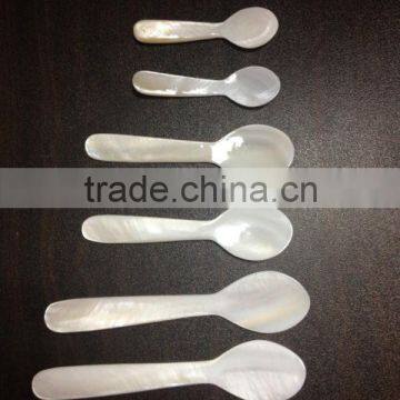 3'' natural shell spoon for tasting caviar