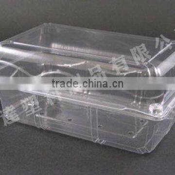 thermoformed plastic tray