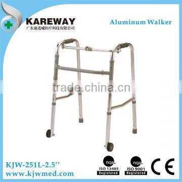 Two wheels disabled walker for patient