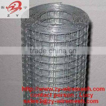 wire mesh galvanised ( best quality, low price , manufacturer & exporter , factory )