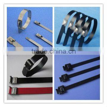 Stainless Steel Ties Wraps Black