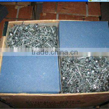 iron roofting nail with big head(2013 new style)