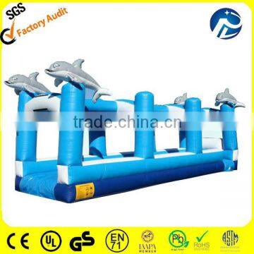 dolphin inflatable water slide