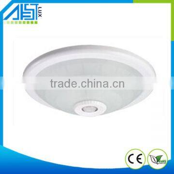 PIR motion sensor ceiling light