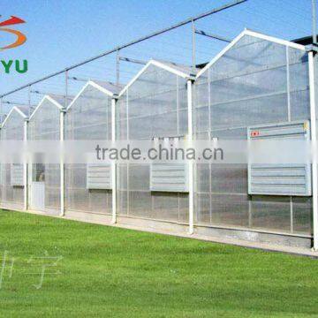 Agricultural glass greenhouse