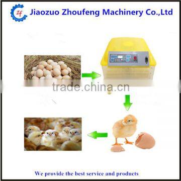 Small Little Turtle Incubator / Automatic Egg Incubator photo-2