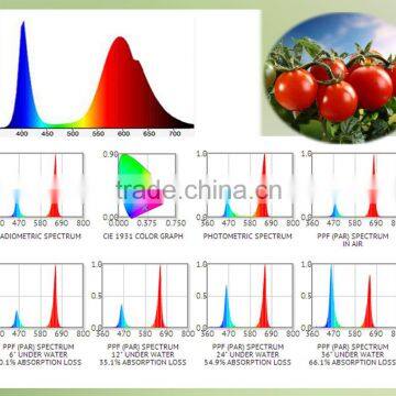 Full Spectrum Programmable 2015 900W DSunY New Design Turing 600w Led Grow photo-6