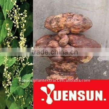 Polygonum Multiflorum Extract for anti-falling hair