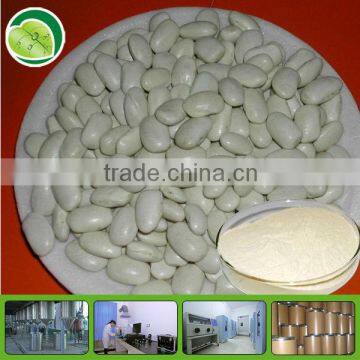 White kidney bean extract powder phaseolamin by HPLC