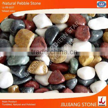 Colorful Pebble, Natural Pebble Stone With Factory Price