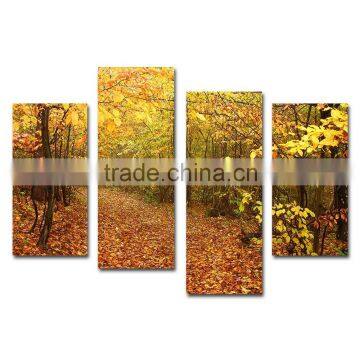 Yellow leaves trees natural canvas prints in autumn