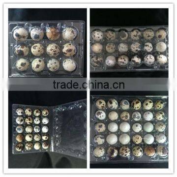 OUCHEN Wholesale High Quality Plastic Blank Egg Cartons Packaging 12 18 20 24 30 Holes for Sale photo-4