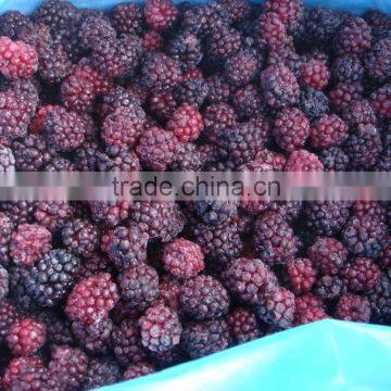 FROZEN BLACKBERRIES HULL, RED ONES.