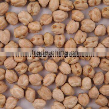 10mm Chickpeas exporters