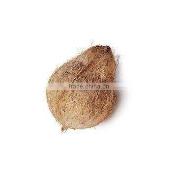 semi husked coconuts