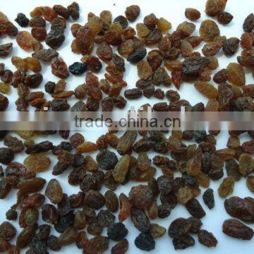 Sultana Raisin