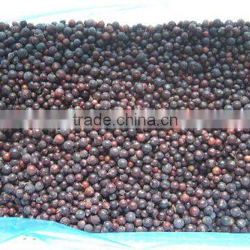 IQF wild blackcurrant