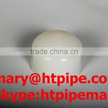 PVDF SW/Socket Welding End Cap
